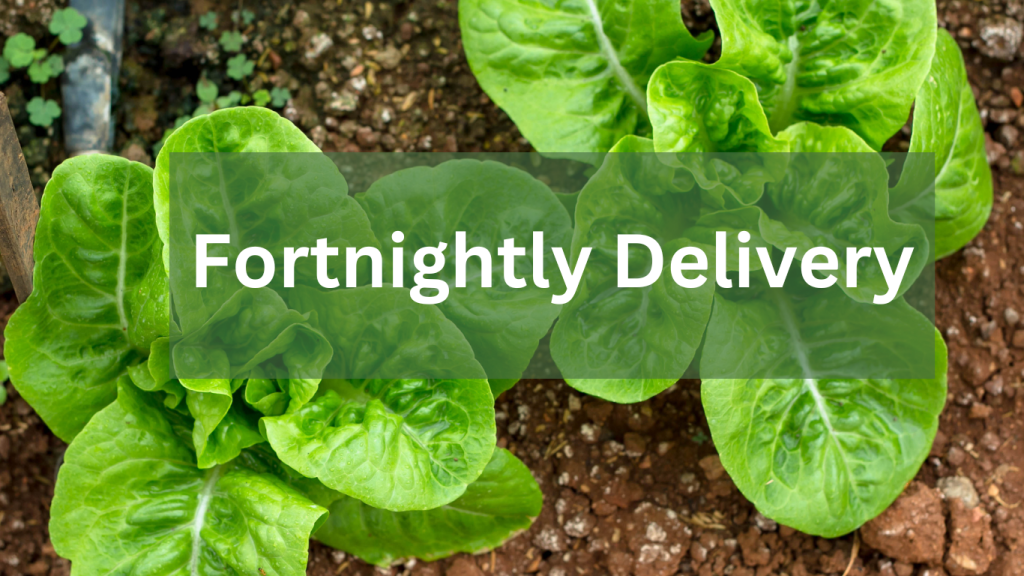 Fruit Vegetable Delivery Fortnightly Geraldton