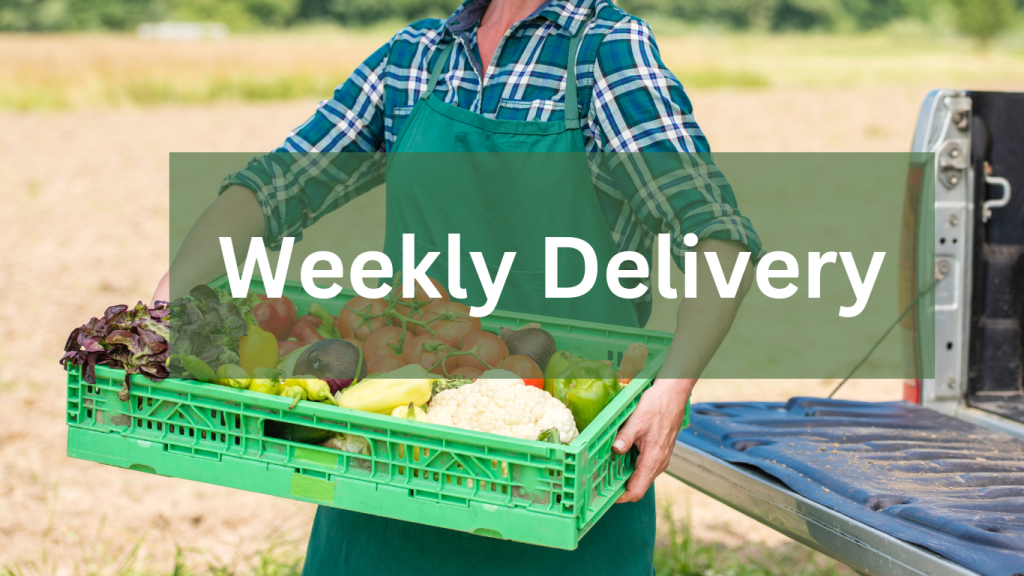 Fruit Vegetable Delivery Weekly Geraldton